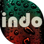 indonesian music android application logo